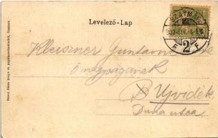 1902 Szatmárnémeti, Szatmár, Satu Mare; Pannonia szálloda, Halász Mór üzlete. Reizer János kiadása /...