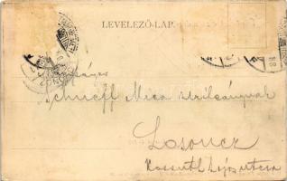 1901 Szatmárnémeti, Szatmár, Satu Mare; Városi kioszk. Husovszky Lajos kiadása / kiosk (r)