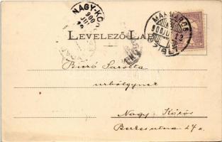 1900 Máramarossziget, Sighet, Sighetu Marmatiei; Fő tér, piac. Mayer és Beger kiadása / main square,...