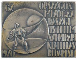 1970. 67. Országos Mezőgazdasági és Élelmiszeripari Kiállítás Budapest kétoldalas ezüstözött bronz díjplakett, hátoldalon, második helyezettnek (61x80mm) T:2