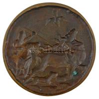 DN "Vadászati Kiállítás" egyoldalas bronz emlékérem (150mm) T:1-