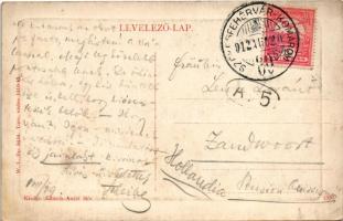 1912 Mór, Öreghegy, Korcsolya és tenisz pálya. W.L. Bp. 5434. Eibisch Antal (EK)