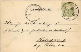 1905 Temesvár, Timisoara; Vadászerdő, 
M. kir. erdőőri szakiskola. Polatsek kiadása / forest ranger...