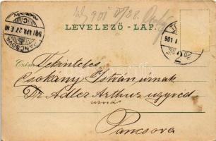 1901 Temesvár, Timisoara; Andrássy út, villamos / street view, tram. Floral (EK)