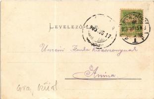 1903 Zalatna, Zlatna; M. kir. kohótelep. Folberth Vilmos kiadása / iron factory, ironworks, smelter