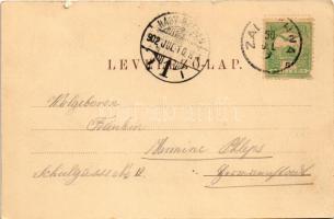 1902 Zalatna, Zlatna; Valea Bulzului (valea mika) / völgy. Folberth Vilmos kiadása / valley (kis sza...