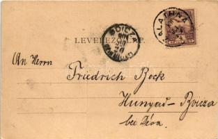 1901 Zalatna, Zlatna; Piactér, Folberth Vilmos üzlete. Dengel Frigyes kiadása / market square, shops...