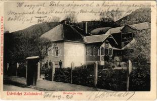 1906 Zalatna, Zlatna; Mihalovits villa. Nagy Árpád kiadása / villa (EM)