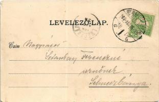 1906 Zalatna, Zlatna; Mihalovits villa. Nagy Árpád kiadása / villa (EM)