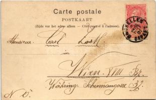 1901 Bruxelles, Brussels; Avenue Louise / street view, tram (fl)