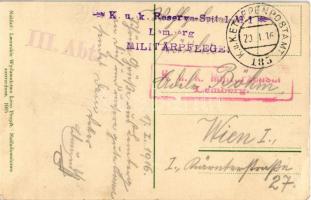 1916 Lwów, Lviv, Lemberg; Kilinski-Denkmal im Stryjer-Park / monument, park + "K.u.K. Reserve-S...