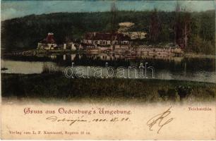 1900 Sopron, Oedenburg; Tómalom. L. F. Kummert kiadása / Teichmühle (fa)