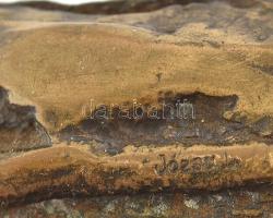 Józsa Lajos (1944-) Vízhordó asszony. Bronz. Jelzett, sorszámozott 10/2. 25 cm