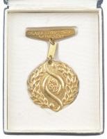 ~1980. "Jogász Szövetségi Munkáért" aranyozott fém jelvény dísztokban (65x40mm) T:2