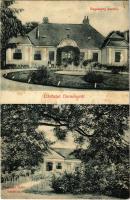 1911 Domony, Segesváry és Domonyi Ödön kastély. Róth Ármin kiadása (fa)