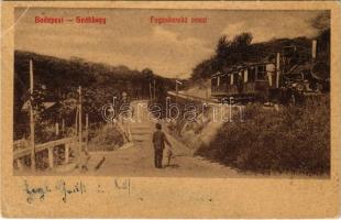 1910 Budapest XII. Svábhegy, Fogaskerekű vasútállomás, gőzmozdony, vonat. Kohn és Grünhut kiadása (Rb)