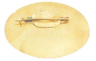 1975. "Univerzális Kender Juta Dolgozó" aranyozott tombak jelvény (31x44mm) T:1