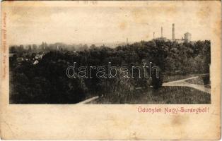 1902 Nagysurány, Surany; cukorgyár. Schwartz Jakab kiadása / sugar factory (fa)