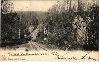 1903 Boksánbánya, Németbogsán, Deutsch-Bogsan, Bocsa Montana; erdei sikló, iparvasút. Rosner Adolf kiadása / forest industrial funicular railway