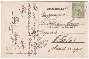 1913 Angyalkút, Kisfalud, Fantanele, Engelsbrunn (Temes); Kövér-Appel-kastély / castle (EK)