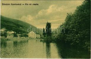 1909 Oravica, Oravicza, Oravita; Kis tó. W. L. 1207. / lake (EK)