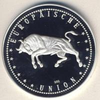 Európai Unió DN "Euro bemutatkozása Szlovéniában" Ag emlékérem 20g T:PP