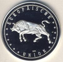 Európai Unió DN "Euro bemutatkozása" Ag emlékérem 20g T:PP