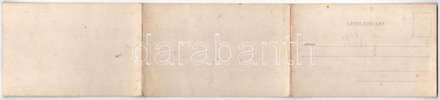 Ruttka, Vrútky; út tehenekkel. Sochán P. 156-158. 3-részes kinyitható panorámalap / road with cows. ...