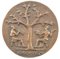 1980. A Honismereti Mozgalomért - Hazafias Népfront kétoldalas bronz emlékérem (85mm) T:1-