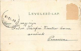 1899 (Vorläufer) Fogaras, Fagaras; Ferenc József tér, Vadkert, Vártója. Thierfeld Dávid kiadása / Wi...