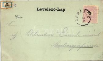 1898 (Vorläufer) Versec, Werschetz, Vrsac; Fő tér, Walke és Löwenstein üzlete, piac / Hauptplatz / m...