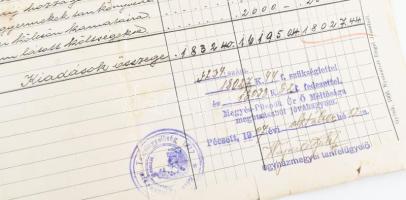 1907 Pécs, hőgyészi római katolikus iskola költségvetése