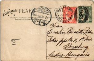 1906 Brisbane, Henry's Hotel Imperial, dead alligator from the Johnston River. photo (EB)