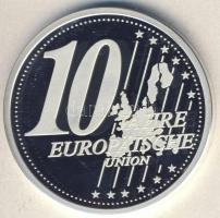 Európai Unió DN "10 éves az EU" Ag emlékérem 15g T:PP