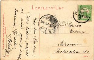 1908 Hátszeg, Hateg; Fő tér, Hirsch Ignác üzlete. Mester Jakab kiadása 1711. (W.L. ?) / main square,...