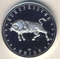 Európai Unió DN "Európai Központi Bank" Ag emlékérem 8g T:PP