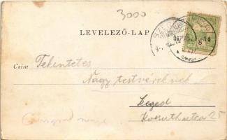 1907 Vajdahunyad, Hunedoara; látkép, Vajda-Hunyad vára. Spörl Gusztáv kiadása / general view, castle...