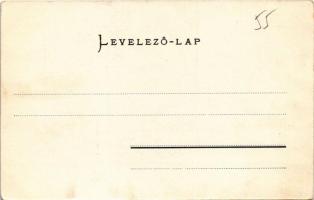 Zilah, Zalau; Új református templom terve. Seres Samu kiadása / plan of the new church (EK)