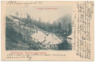 1903 Tótosbánya, Totos (Budfalva, Budesti, Máramaros); Aranybánya, zúzda. Berger Miksa kiadása / gold mine