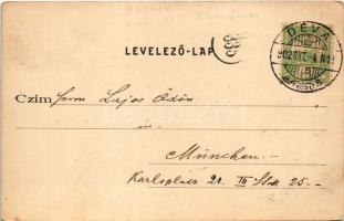 1902 Déva, látkép, vár. Kroll Gyula kiadása / general view with castle (EK)