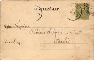 1902 Biharfüred, Stana de Vale, Stina de Vale; látkép / general view (EK)