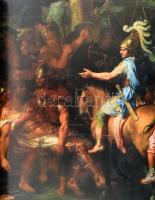 Nick McCarty: Nagy Sándor: Egy hős életének igaz története. Bp., 2004., Egmont. Gazdag képanyaggal i...