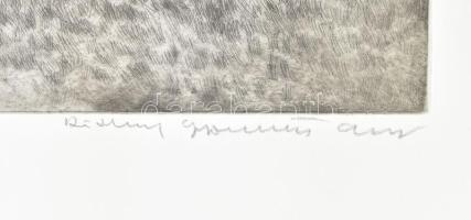 Rádóczy Gyarmathy Gábor (1943-): Fehér ló. Rézkarc, papír. Jelzett. Művészpéldány E/A jelzéssel. Fel...