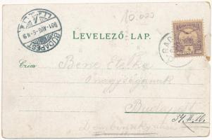 1901 Dombhátfürdő, Dombhát, Domphát, Bad Domphát bei Bistritz, Anies; Cursalon, Quelle, Vogelperspec...