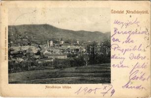 1905 Abrudbánya, Abrud; látkép. Róth Ferenc kiadása / general view (fa)
