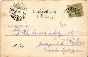 1905 Abrudbánya, Abrud; látkép. Róth Ferenc kiadása / general view (fa)