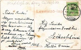 1911 Lippa, Lipova; Búza téri részlet, Hal utca, Vendéglő az Arany Csillaghoz, piac, Löwy J. üzlete....