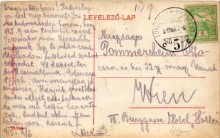 1913 Lippa, Lipova; Híd utca, Schwarz Ferenc üzlete. Özv. Krivány Györgyné kiadása / street view, sh...