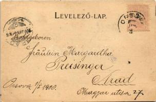 1900 Orsova, tér, M. kir. állami iskola, Scheinberger Mór üzlete. G. Hutterer kiadása / square, scho...