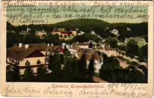 1904 Borszék, Borsec; fürdő, nyaralók / spa, villas (non PC) (kis szakadás / small tear)